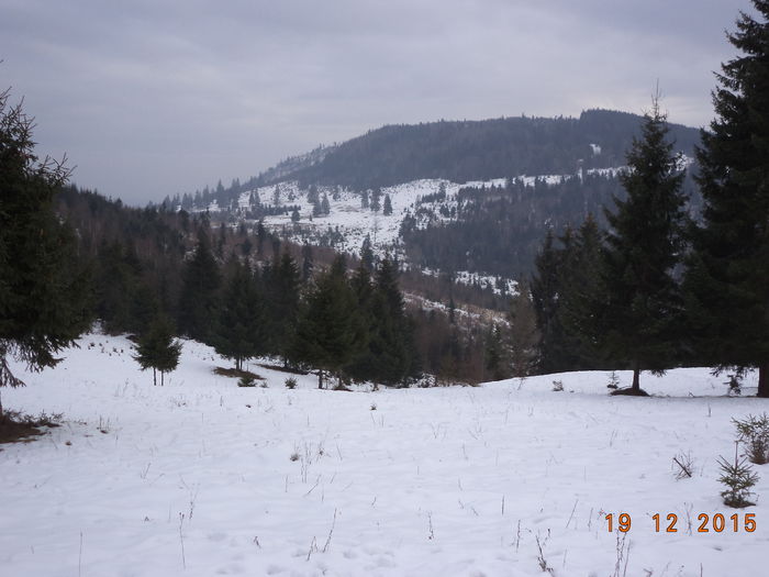 Padure draga padure-5