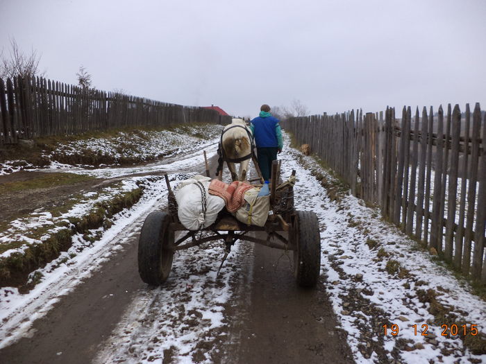 Plecam iar la padure