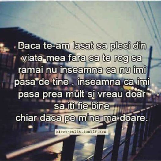 12347637_505470149631677_8635615339991563162_n - SENTIMENTI