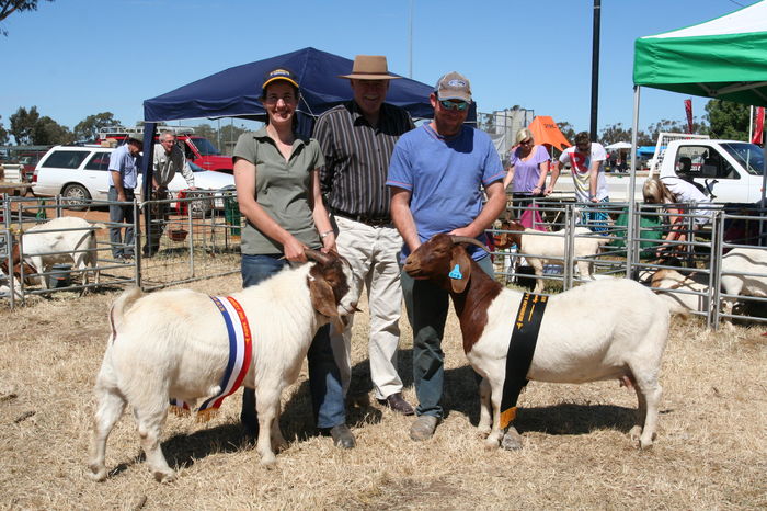Boerii cu premii serioase
