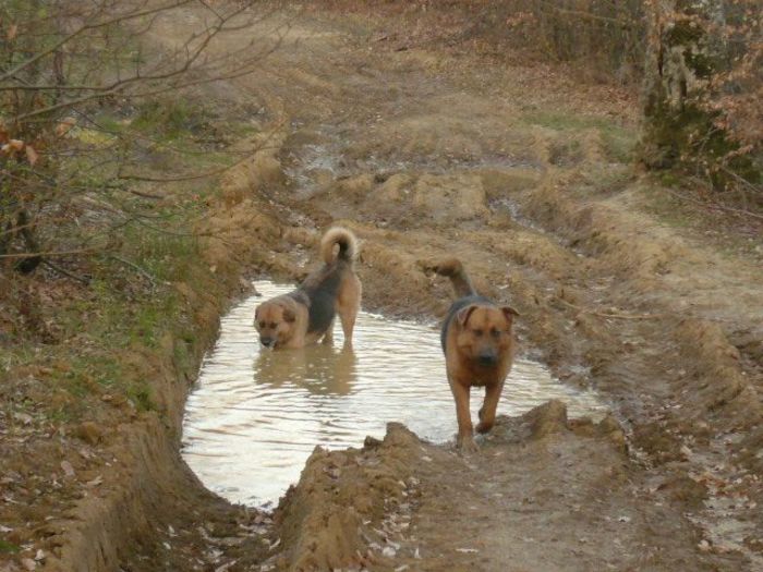 10245505_232206090311013_4855007196198583669_n