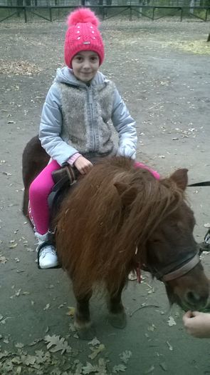 WP_20151122_15_16_09_Pro