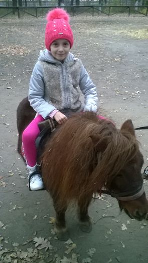 WP_20151122_15_16_11_Pro