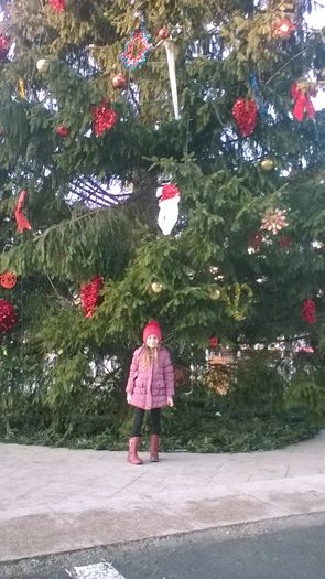 WP_20151225_15_32_02_Pro