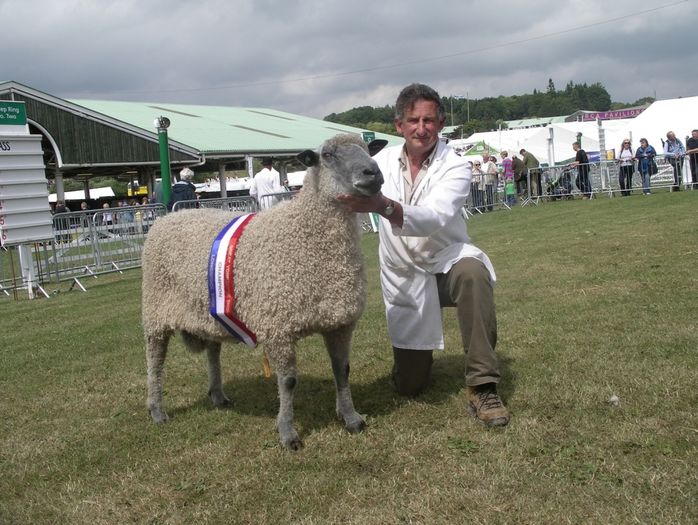 Wensleydale frumoasa-8xs