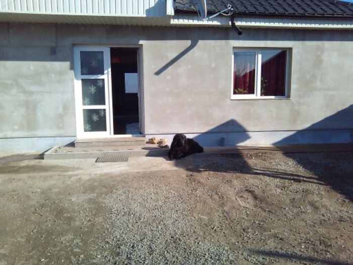 De craciun 009; Avem doi ani acum
