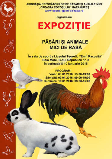 afis 2016 - Expozitie Maramures 8-10 ianuarie 2016