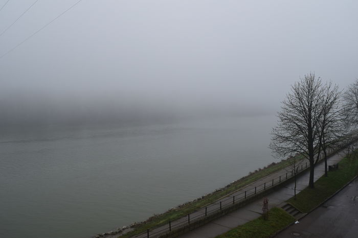 TISA - DE PRIN NATURA