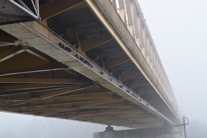 POD PESTE TISA - DE PRIN NATURA