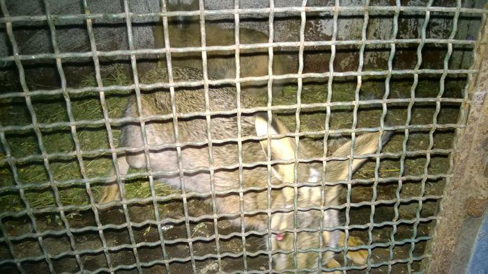 WP_20151225_003 - poze pentru Marius