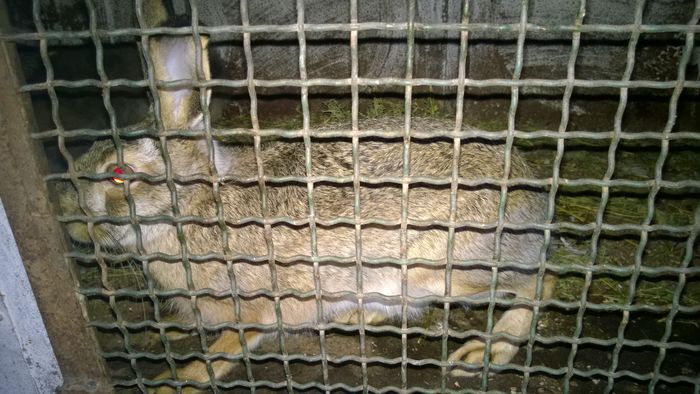 WP_20151225_006 - poze pentru Marius