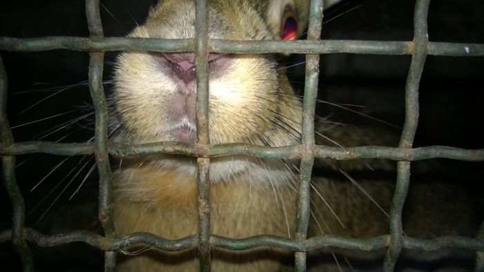 WP_20151225_007 - poze pentru Marius