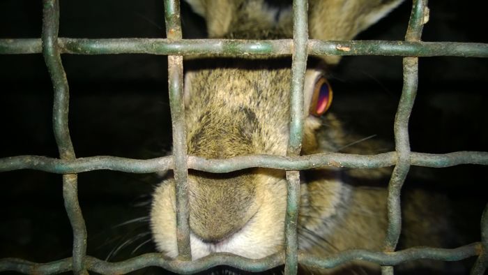 WP_20151225_013 - poze pentru Marius