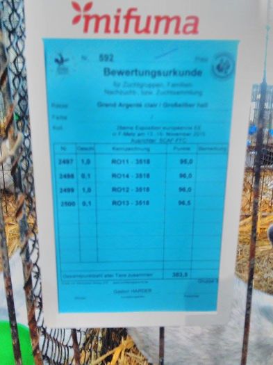 rezultate obtinute la Metz Camp European 2015; 383.5 pct la colectie, cea mai buna colectie obtinuta de un roman la Metz 2015
