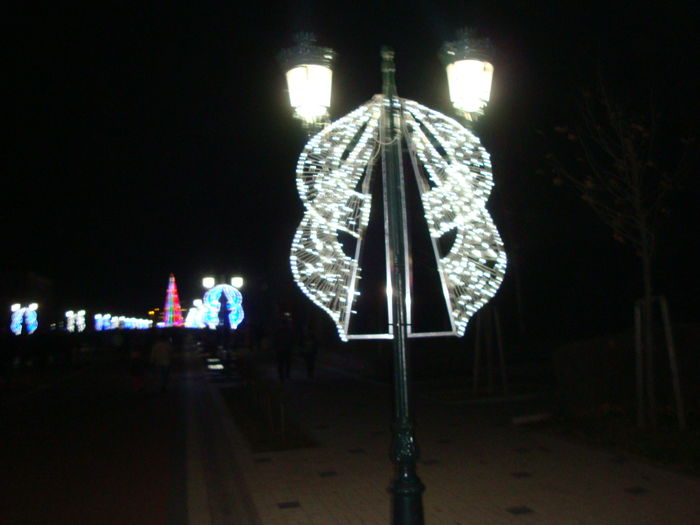 DSC08853