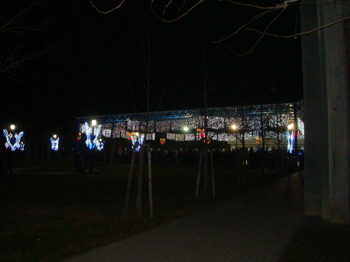 DSC08855