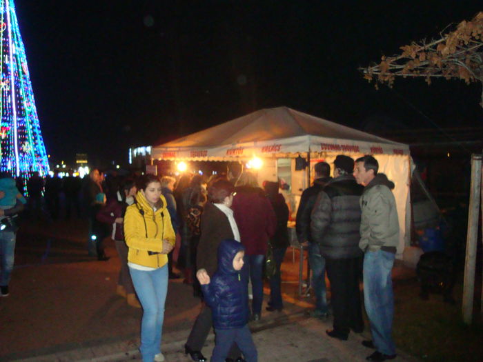 DSC08864 - Craciun 2015