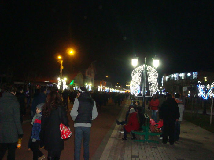 DSC08875 - Craciun 2015