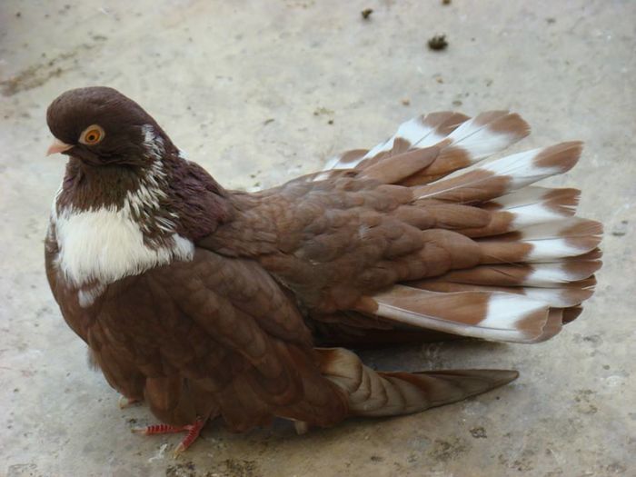 12115789_900495883379688_8285621043438478636_n