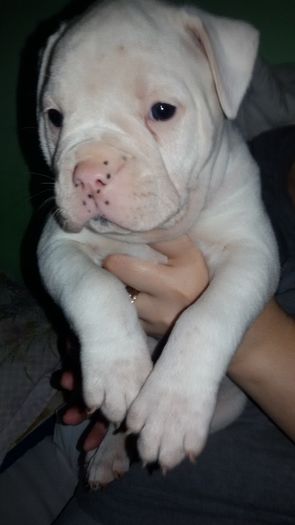 20151226_164913 - 1-Una AnDav of SJKids