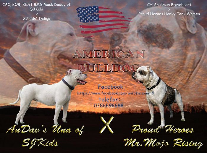 1.0 - 1-Una AnDav of SJKids