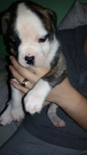 222 - 1-Una AnDav of SJKids