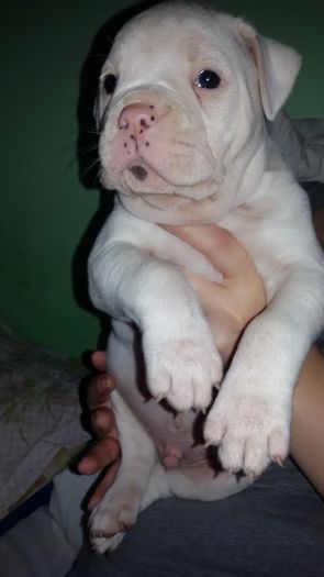 444 - 1-Una AnDav of SJKids