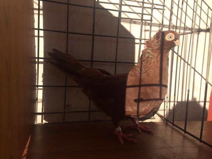 12433026_994621297247335_1572904743_o