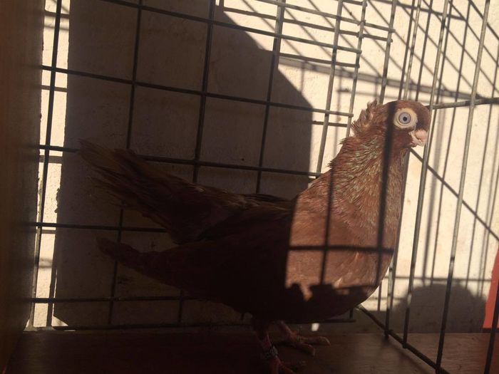 12435103_994621307247334_546492180_o