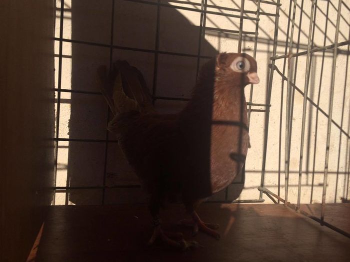 12435220_939411289476446_1412311692_o