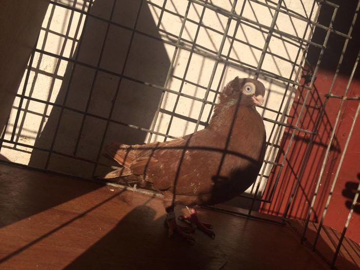 12436534_939411222809786_1154022284_o