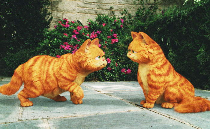 garfield-a-tail-of-two-kitties