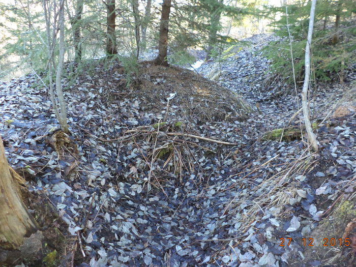 Aici au fost transee