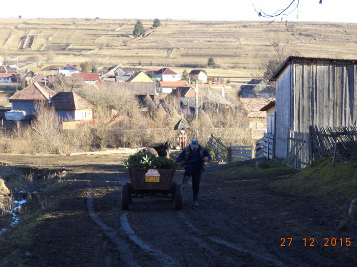 Ajungem acasa - CU PETRICA LA PADURE 19 decembrie
