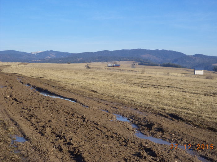 Dealul Vaii 27 decembrie