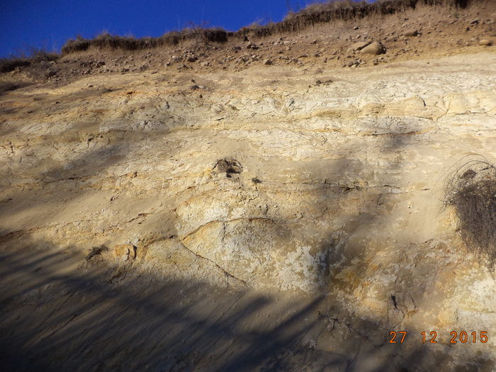 Lut cu nisip fin - CU PETRICA LA PADURE 19 decembrie