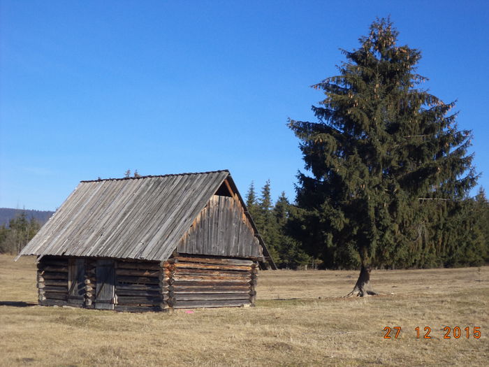 Stana inca nedevastata - CU PETRICA LA PADURE 19 decembrie