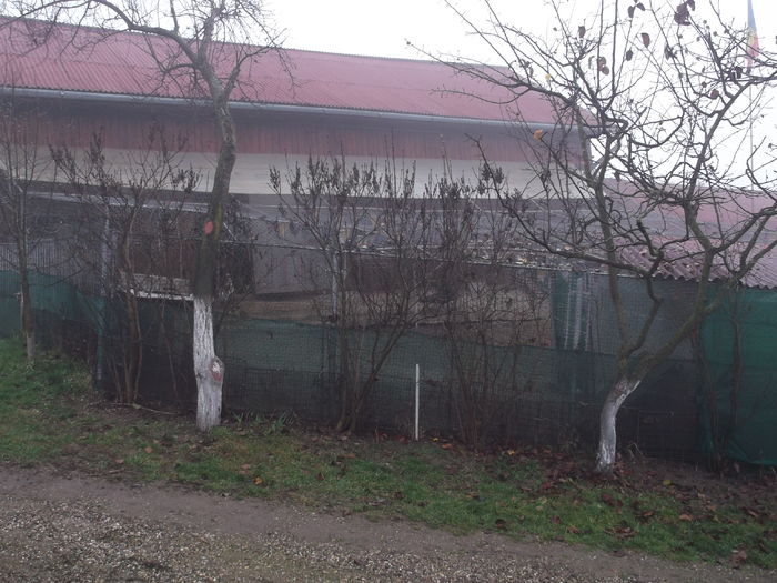 IN APROPIEREA CETATII"LEONTE"