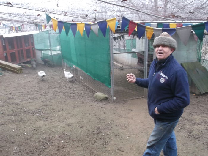 HAI SA VA MAI ARAT CATE CEVA