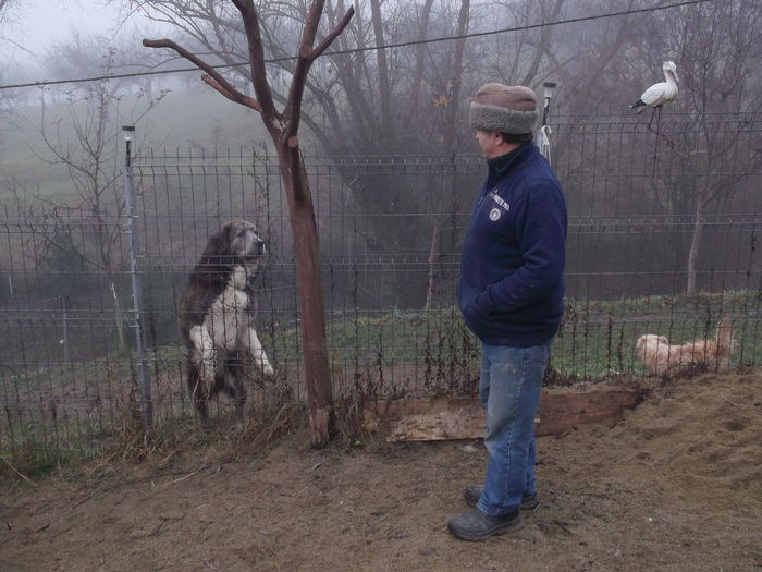 PAZA EXTERNA SI..... - FERMA LEONTE 2016 BISTRITA
