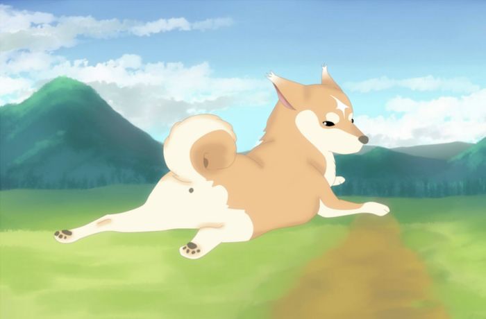 Me Shiba Inu