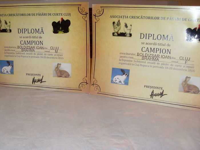 18-20 dec.2015 - CUPE si DIPLOME 2014-2016