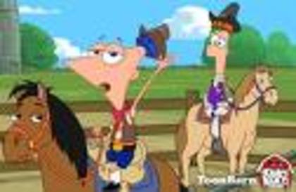 imagesCAWHY31K - Phineas si Ferb