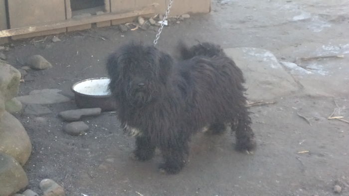 DSC07690 - PAZNICI CREDINCIOSI LA DATORIE