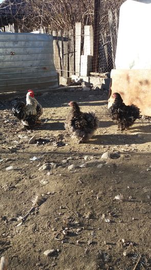 20151228_151229; Matca 2016
