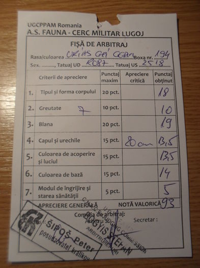 SDC16747 - REZULTATE EXPOZITIA NATIONALA LUGOJ 03-06 12 2015