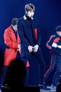 ╳ 125 days l 21.12.2015 ╳