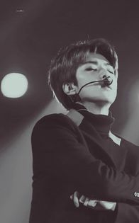 ╳ 127 days l 23.12.2015 ╳