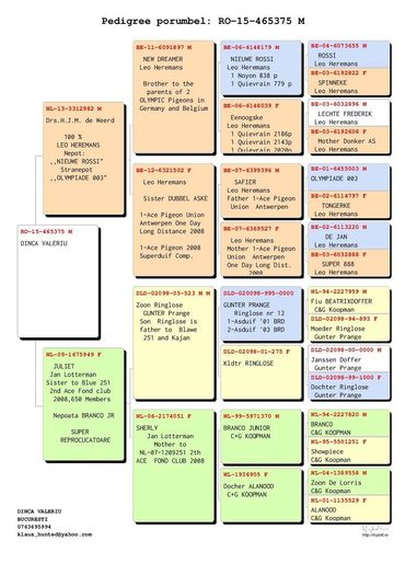 Dinca-Valeriu-RO-465375-2015-M-pedigree - Cuplul 1