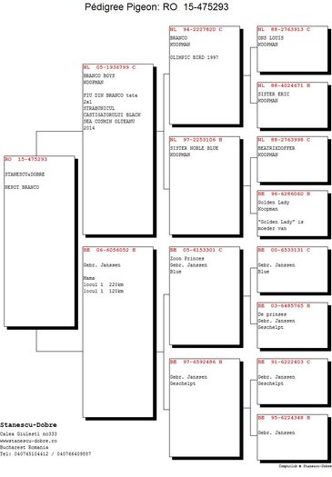 Stanescu-Dobre-RO-475293-2015-pedigree - Cuplul 1